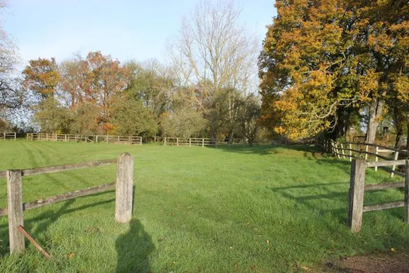 Garden at Medieval hall in Essex, M330 (photo 117)