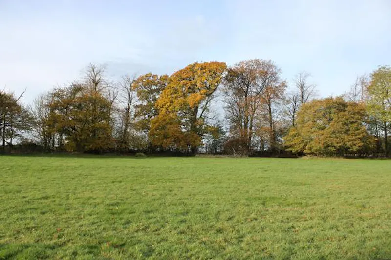 Medieval hall in Essex, M330 (photo 118)