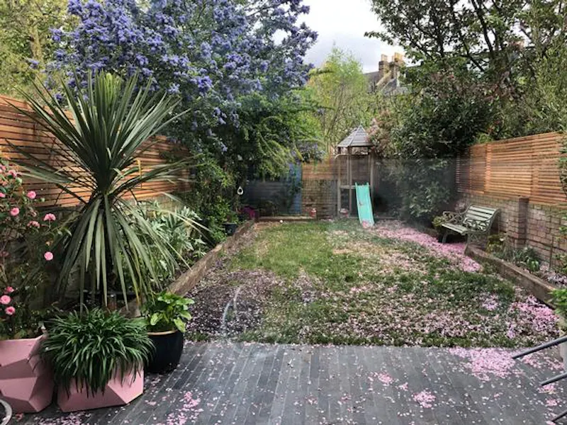 Garden at Newington Green family house, B1877 (photo 17)