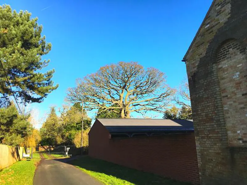 Gamlingay contemporary barn, B1879 (photo 22)