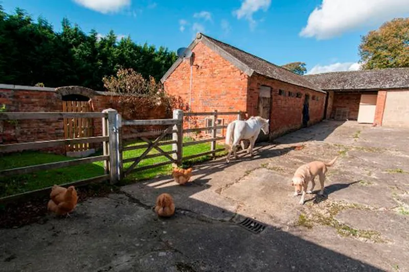 Daventry country house with stables, A1519 (photo 22)