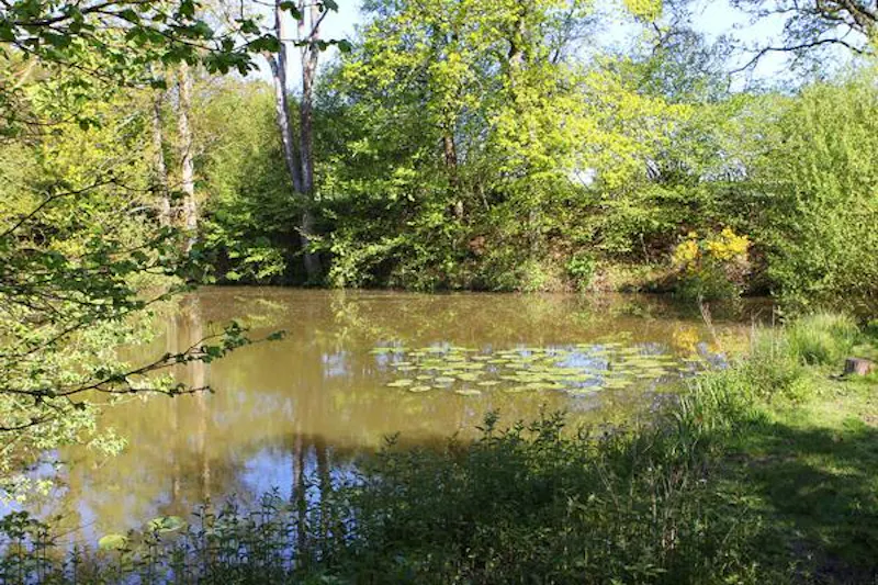 Lake at Hartfield barn conversion, L708 (photo 22)