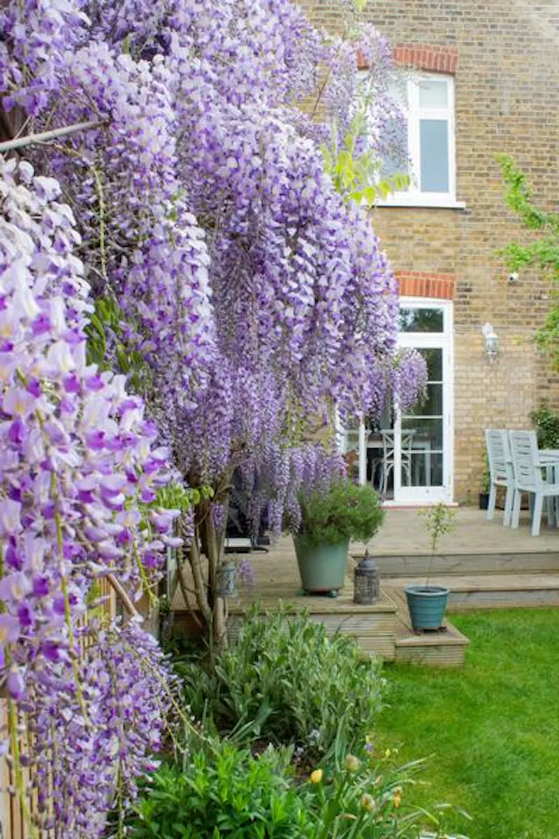 Pretty Surbiton house, E474 (photo 33)