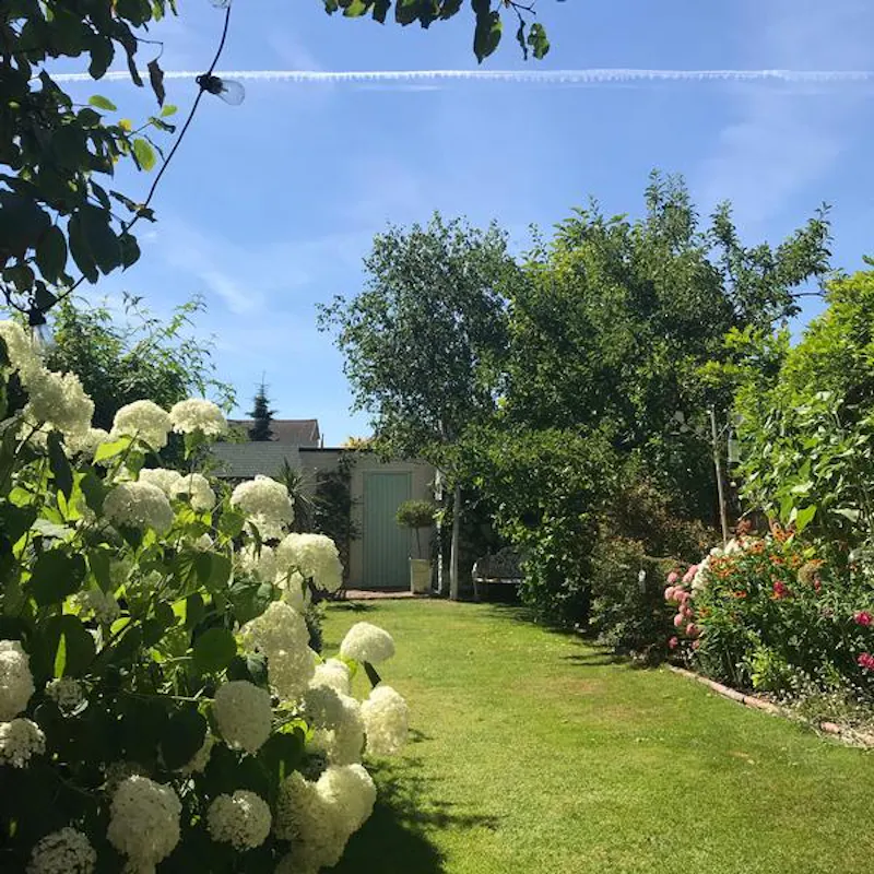 Garden at Pretty Surbiton house, E474 (photo 35)