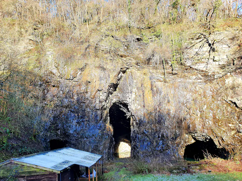 Disused quarry in Wrexham, Q144 (photo 24)