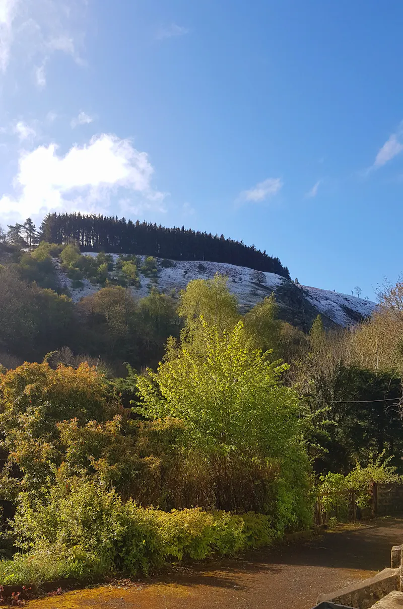 Disused quarry in Wrexham, Q144 (photo 10)