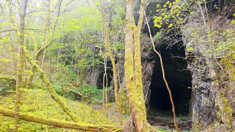 Disused quarry in Wrexham, Q144 (photo 15)