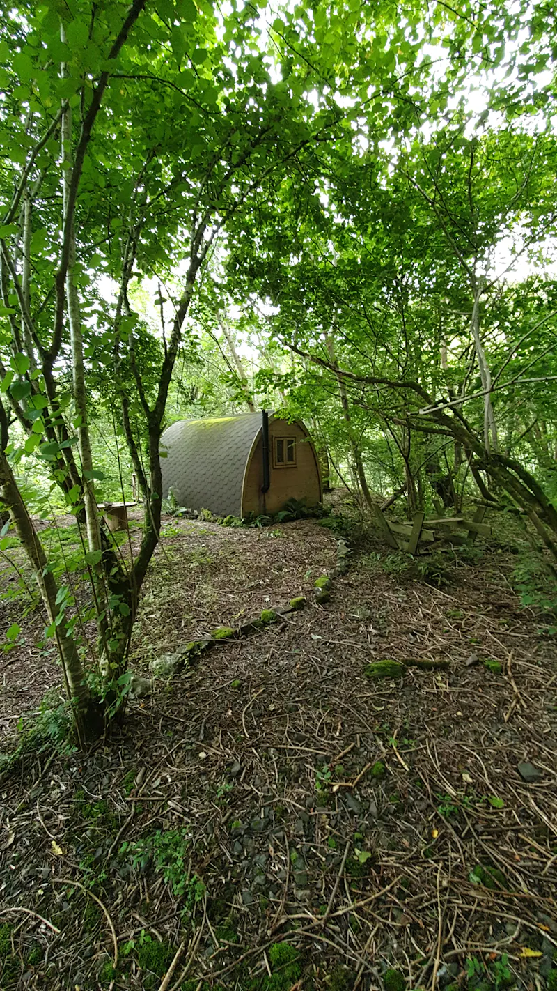 Disused quarry in Wrexham, Q144 (photo 17)