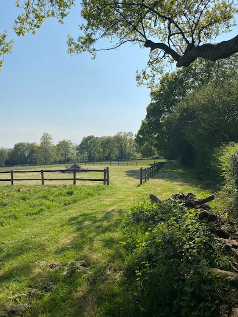 Buxted country house, M337 (photo 26)