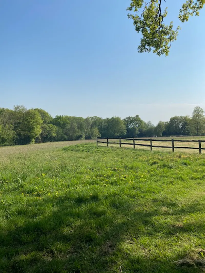 Buxted country house, M337 (photo 25)