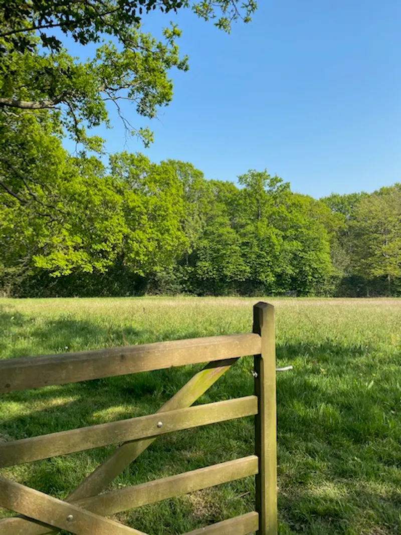 Buxted country house, M337 (photo 27)