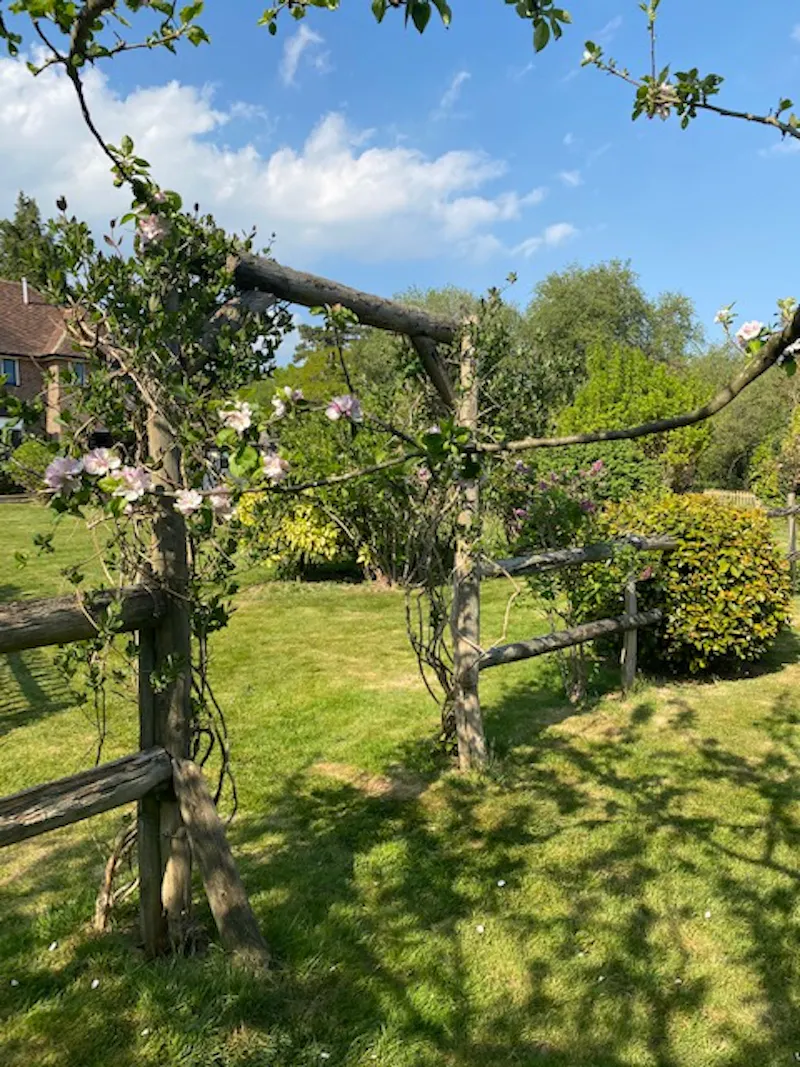 Buxted country house, M337 (photo 20)