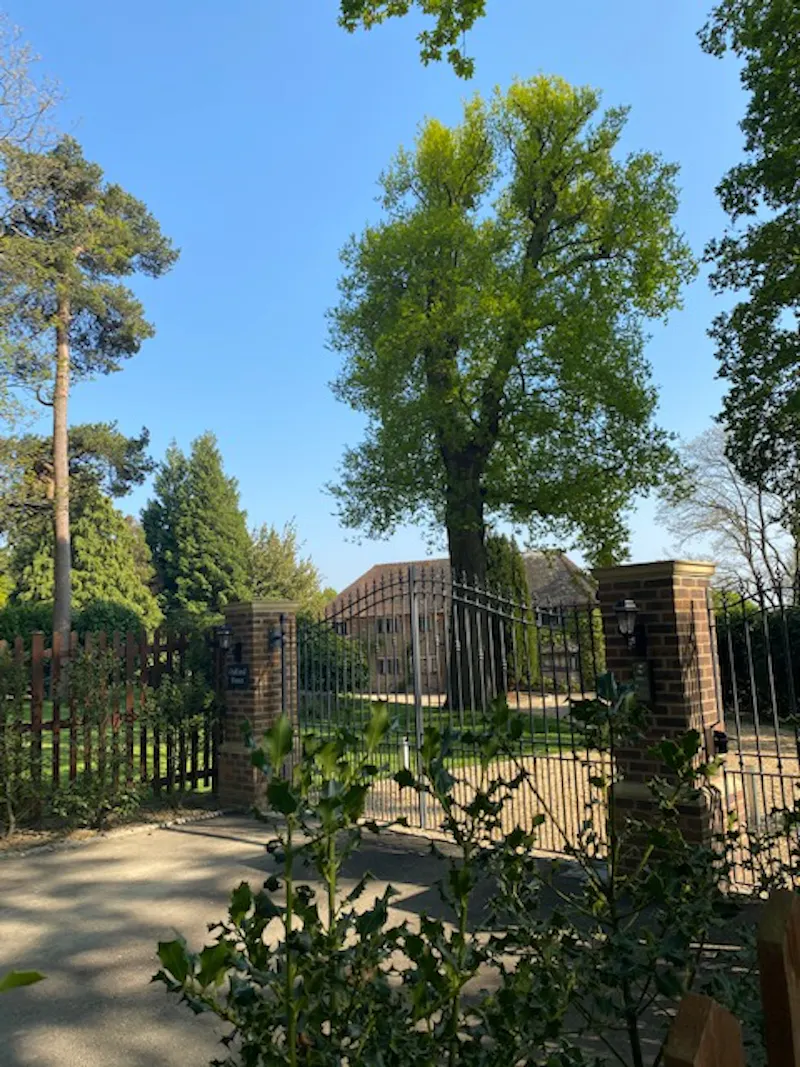Gate at Buxted country house, M337 (photo 34)