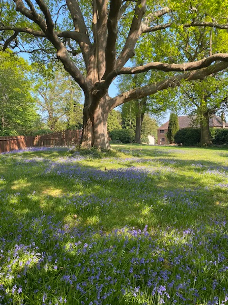 Buxted country house, M337 (photo 24)