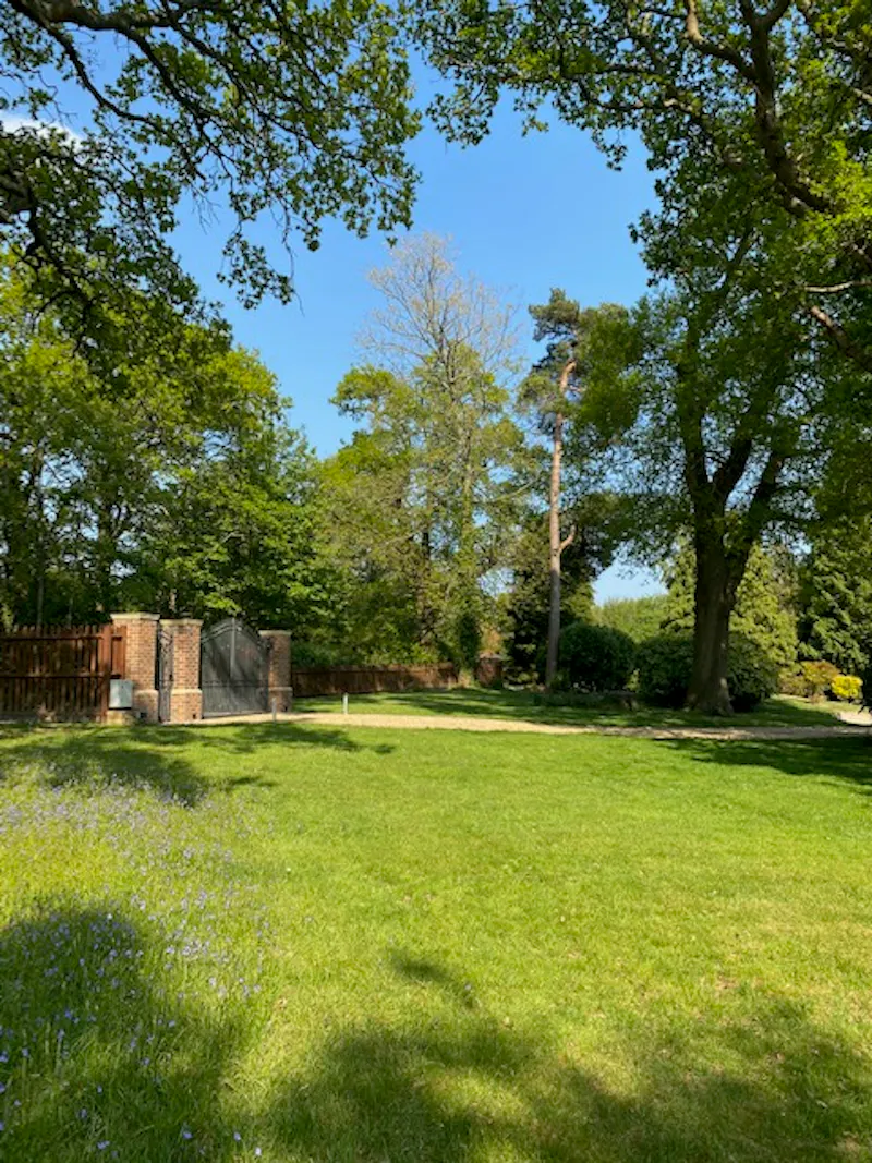 Buxted country house, M337 (photo 29)