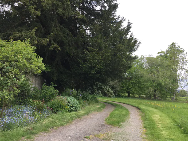 Dilapidated Presteigne manor, M339 (photo 41)