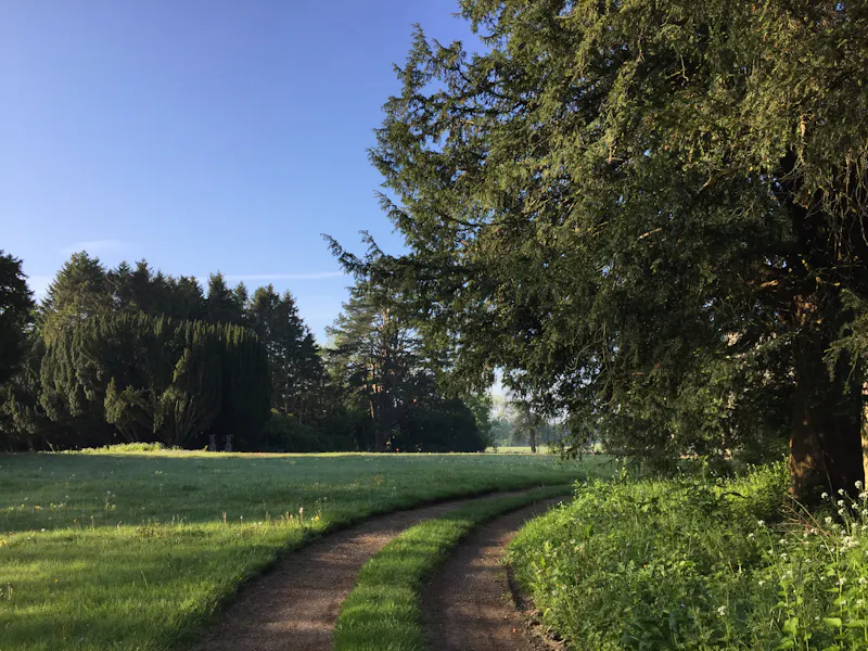 Driveway at Dilapidated Presteigne manor, M339 (photo 42)