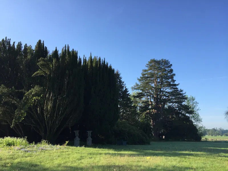 Garden at Dilapidated Presteigne manor, M339 (photo 35)