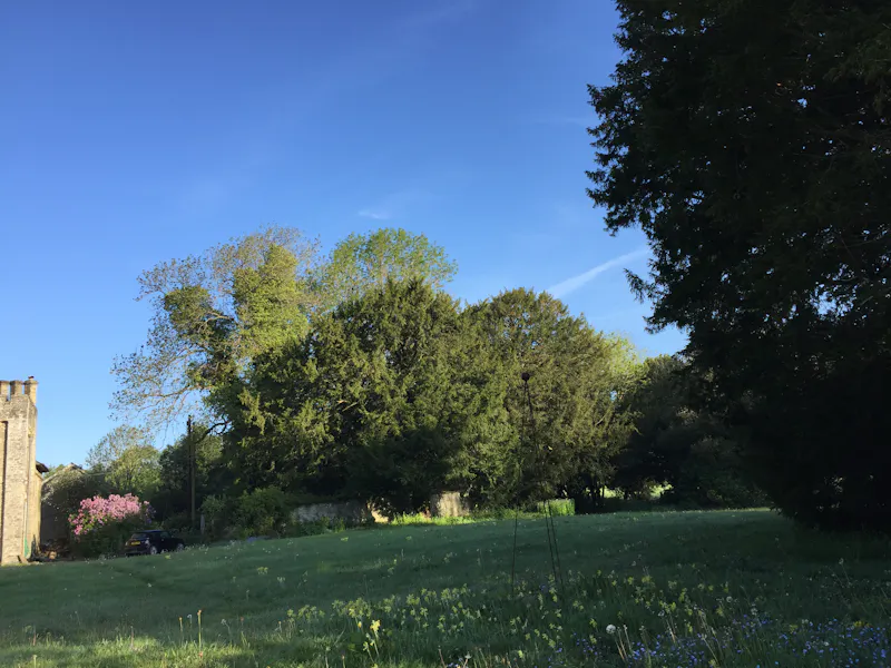 Dilapidated Presteigne manor, M339 (photo 32)