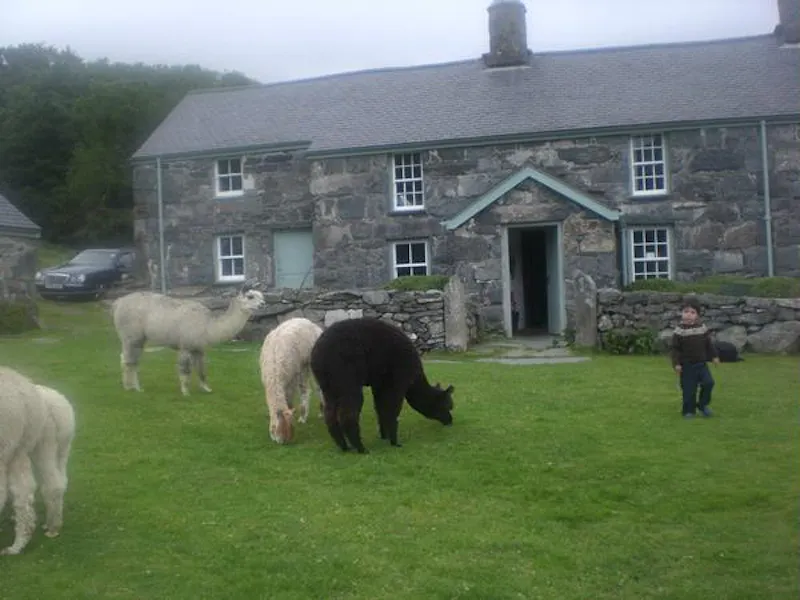 Film location W121 in Wales (photo 2)