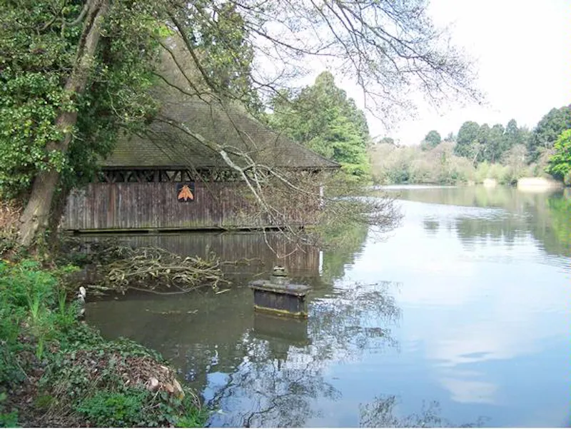 Film location W138 in Wales (photo 39)
