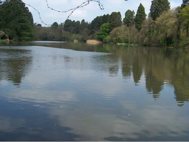 Lake at Film location W138 in Wales (photo 41)