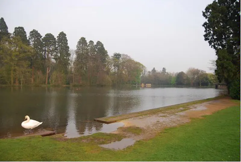 Film location W138 in Wales (photo 42)