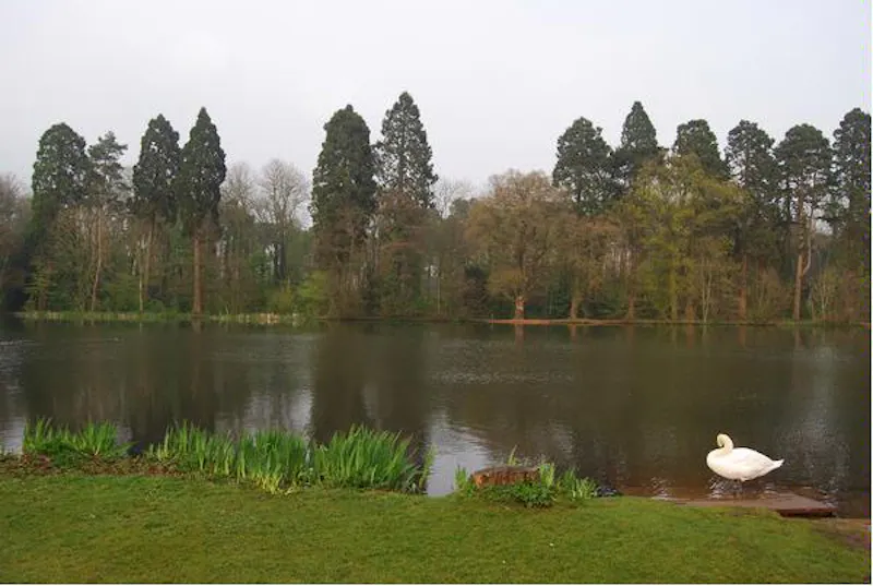 Film location W138 in Wales (photo 43)