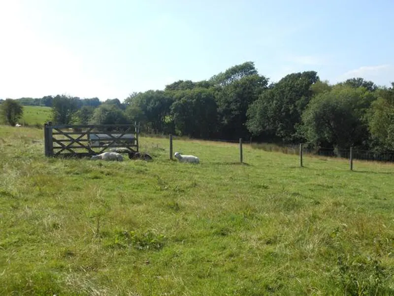 Views - country at Film location W215 in Wales (photo 17)