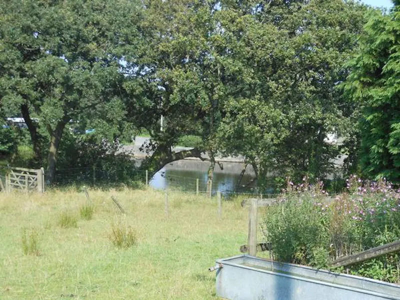 Pond at Film location W215 in Wales (photo 18)