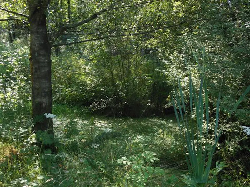Film location W215 in Wales (photo 19)