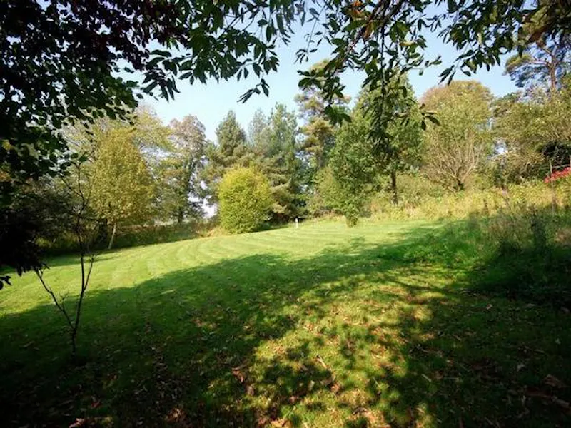 Garden at Film location G288 in Wales (photo 19)