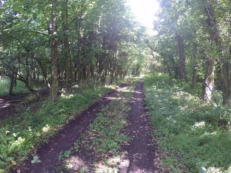 Film location A1415 in Wales (photo 101)