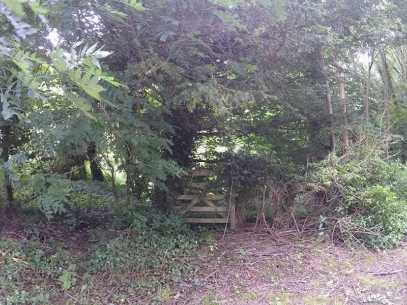 Film location A1415 in Wales (photo 102)