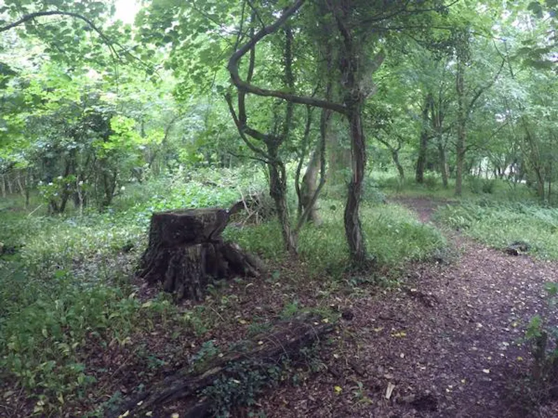 Film location A1415 in Wales (photo 109)