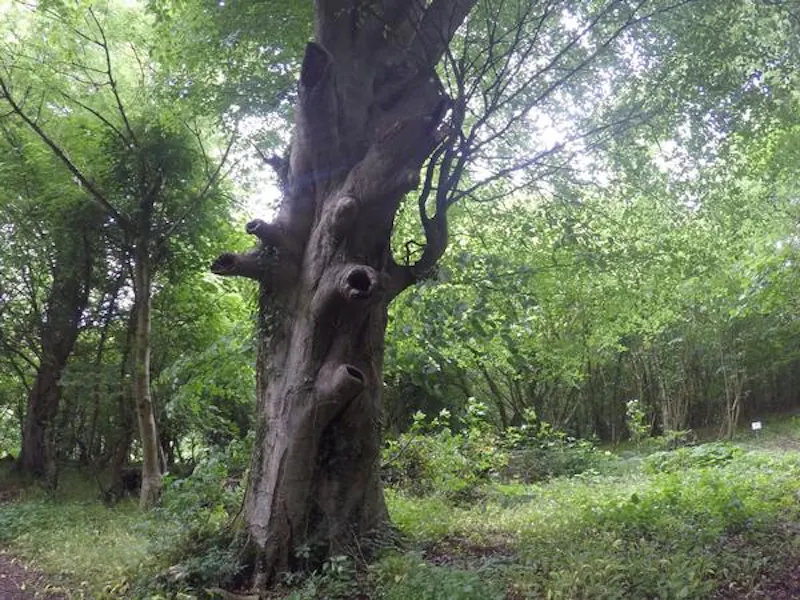 Film location A1415 in Wales (photo 110)