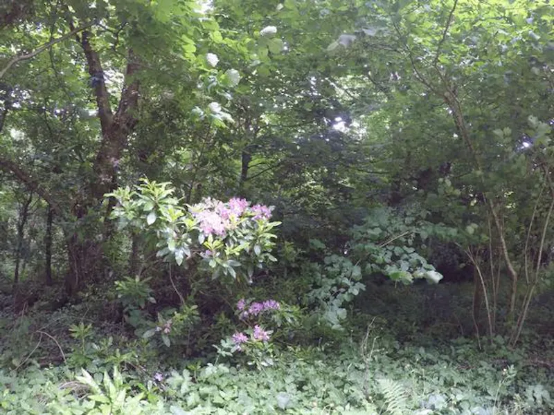 Film location A1415 in Wales (photo 118)