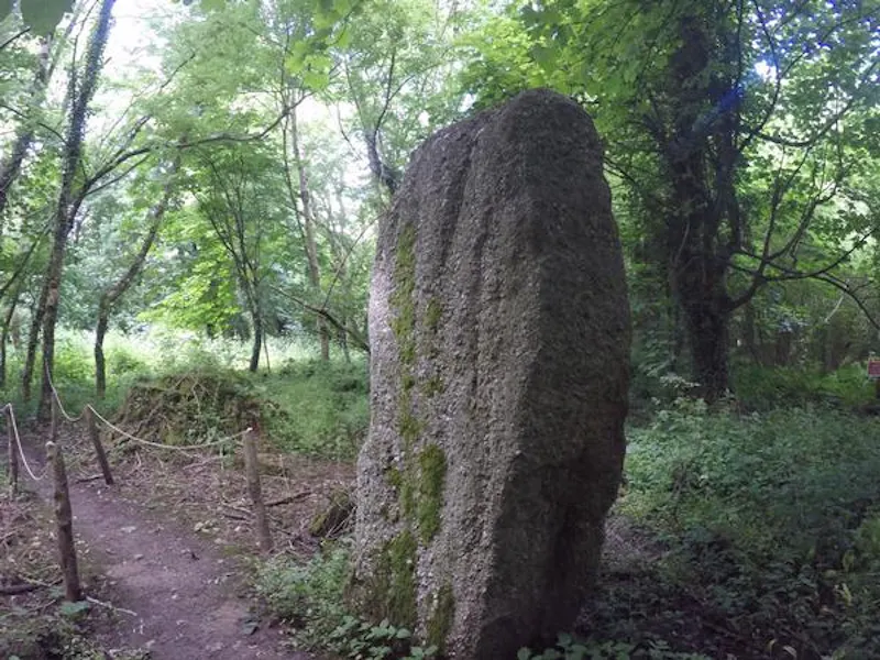 Film location A1415 in Wales (photo 120)
