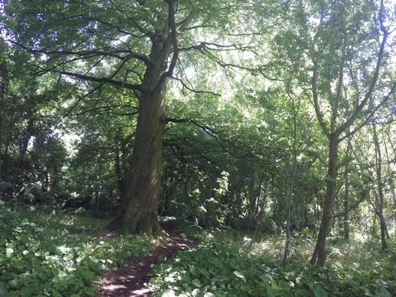 Film location A1415 in Wales (photo 135)