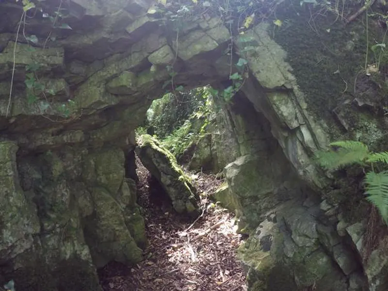 Woodland at Film location A1415 in Wales (photo 137)