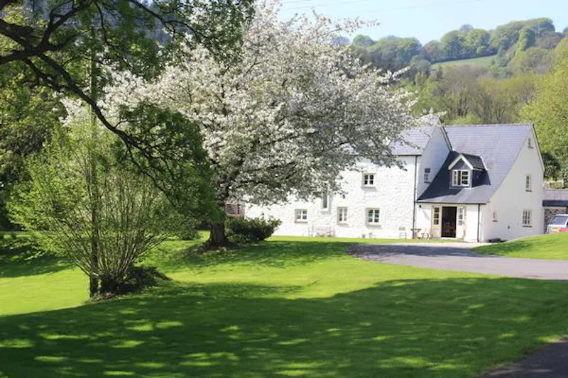 Film location L687 in Wales (photo 39)