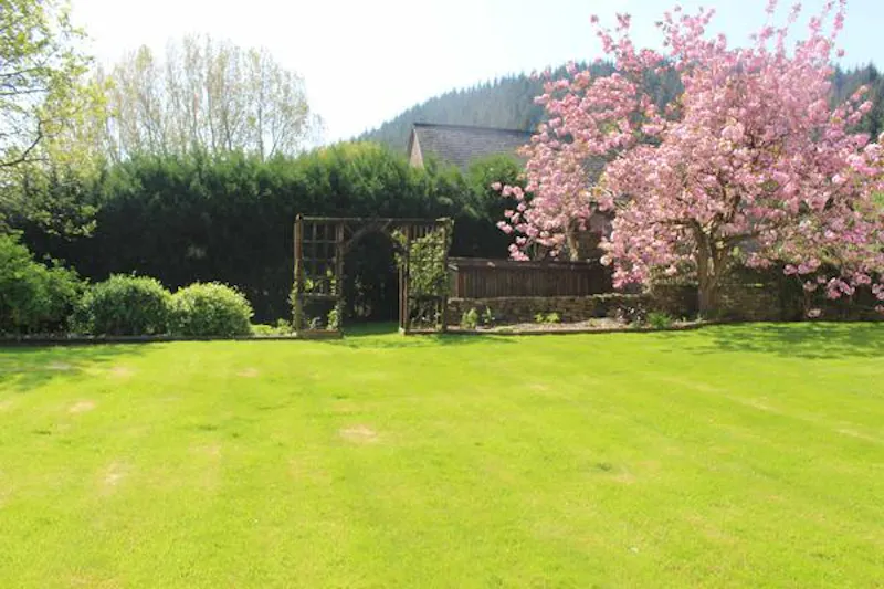 Garden at Film location L687 in Wales (photo 13)