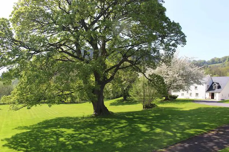 Film location L687 in Wales (photo 11)