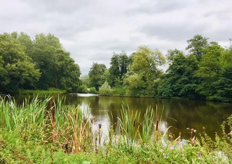 Lake at Reigate Farm Estate , L702 (photo 26)