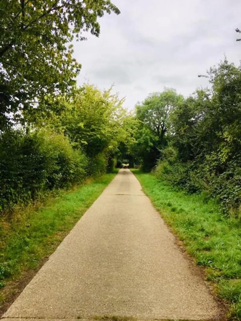 Driveway at Reigate Farm Estate , L702 (photo 29)