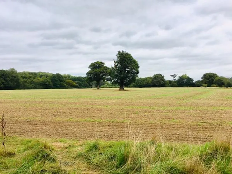 Countryside at Reigate Farm Estate , L702 (photo 31)