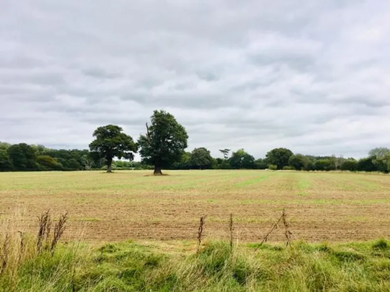 Reigate Farm Estate , L702 (photo 32)