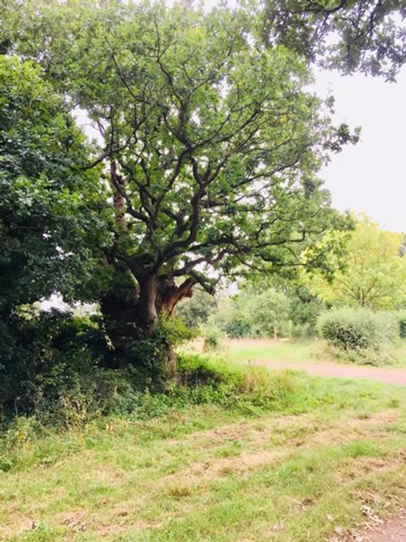 Reigate Farm Estate , L702 (photo 33)