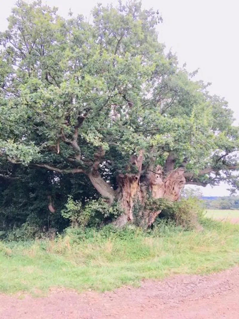 Reigate Farm Estate , L702 (photo 34)