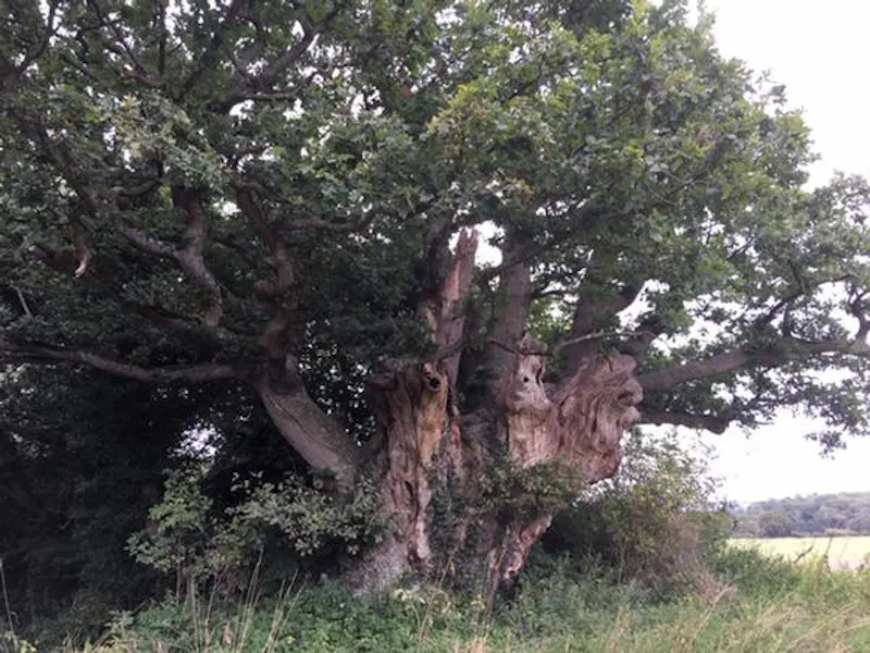 Reigate Farm Estate , L702 (photo 35)
